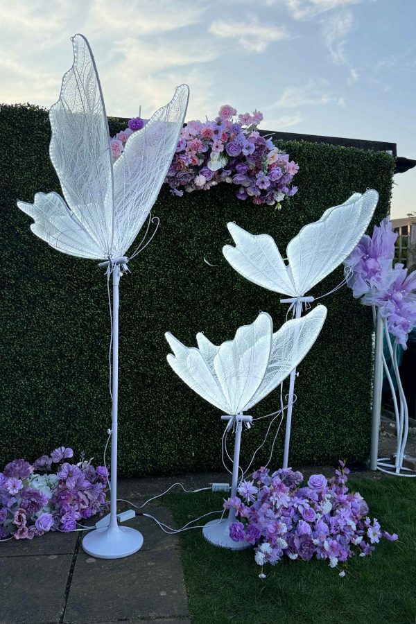 resizer 176941288306845